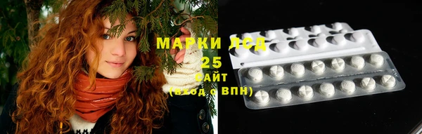 дживик Бронницы