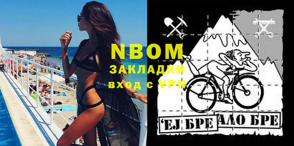 ешки Бородино
