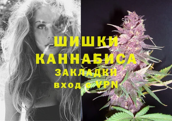 ешки Бородино