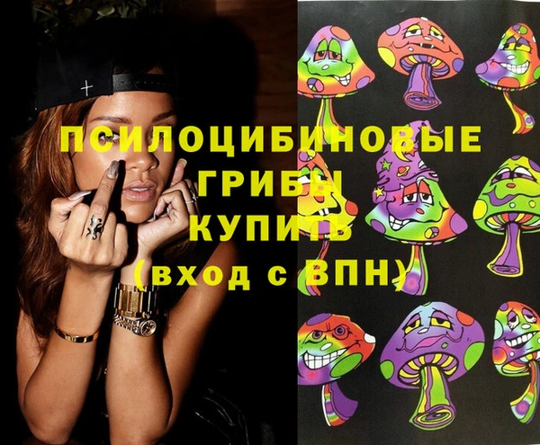 ешки Бородино