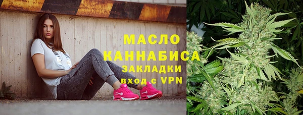 ешки Бородино