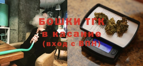 дживик Бронницы