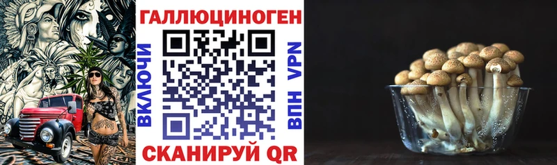 Псилоцибиновые грибы ЛСД  как найти закладки  Качканар 